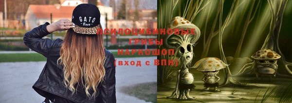 спиды Арсеньев