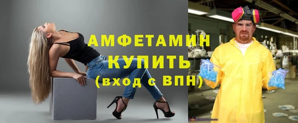шишки Аркадак