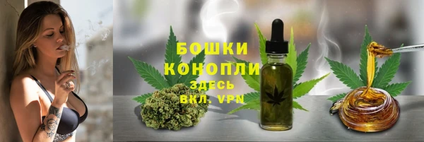 спиды Арсеньев