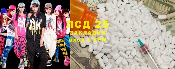 шишки Аркадак