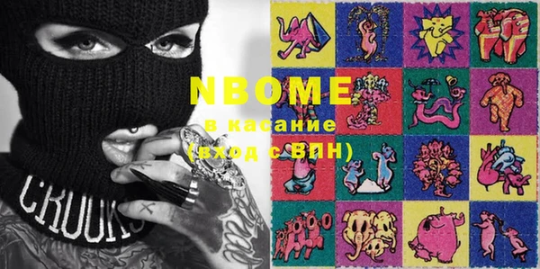 шишки Аркадак