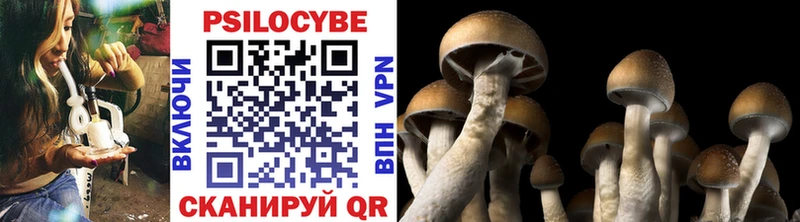 Псилоцибиновые грибы ЛСД  Нововоронеж 